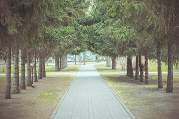 alley in the park