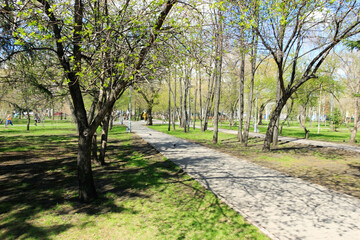 alley in the park