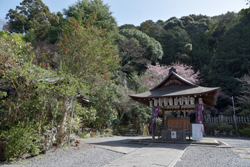 Fototapeta premium 哲学の道 大豊神社の舞殿 京都市左京区鹿ケ谷