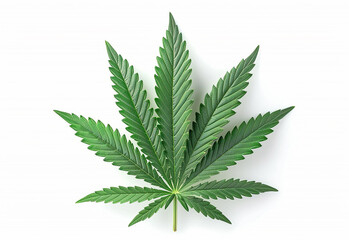 Marijuana leaves, cannabis on a dark background, beautiful background, indoor cultivation