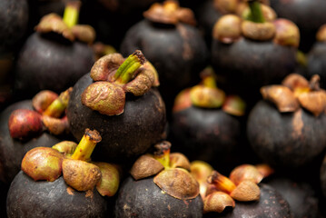 Mangosteens, also called purple mangosteens