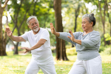 asian senior couple workout and practice tai chi in the park