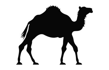 Camel Silhouette vector black clipart isolated on a white background