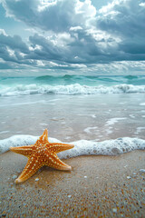 Fototapeta na wymiar Starfish at beach 