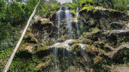 A tropical waterfall. Thin trickles of water cascades down from mossy openwork ledges like a veil....