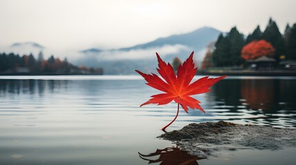 red maple leaf on a lake - Powered by Adobe