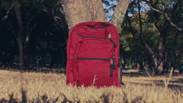 Mochila roja sobre pasto en medio del parque