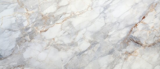 A detailed view of a smooth white marble surface, showcasing the intricate veins and patterns unique to each slab. The surface reflects light, creating a sense of depth and sophistication.