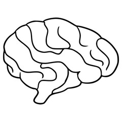 brain illustration hand drawn outline isolated vector