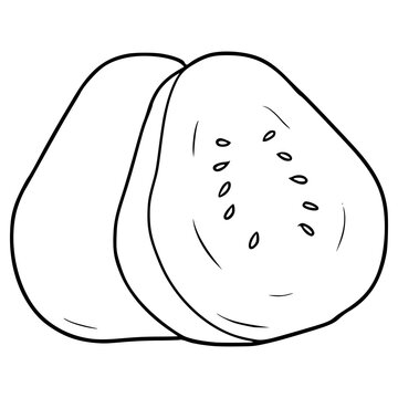 recommend clip art: guava illustration hand drawn outline isolated vector