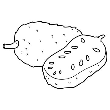 recommend clip art: soursop illustration hand drawn outline isolated vector