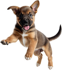 Portrait of cute playful puppy in motion, jumping isolated over transparent background. Generative AI.