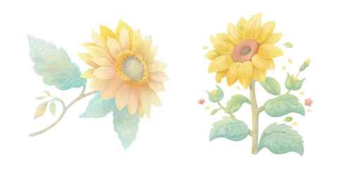 Schilderijen op glas cute sunflower watercolour vector illustration  © Finkha