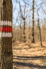 Marking of a hiking trail
