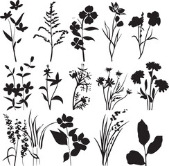 Black Silhouettes flowers signs, flower icons on white background	
