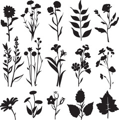 Black Silhouettes flowers signs, flower icons on white background	