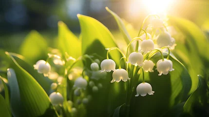 Stof per meter Exquisite lily of the valley flowers gleaming in the soft, golden evening light, portraying peace and purity © kanina