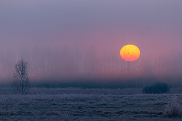 Wiosenny chłodny poranek z mgłą o wschodzie słońca