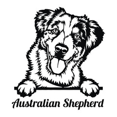 Australian Shepherd Dog - Peeking Dog Breed - Pet Dog Vector Portrait, Dog Silhouette Stencil