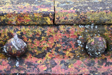 Fall colors from rust on railroad fishplate.