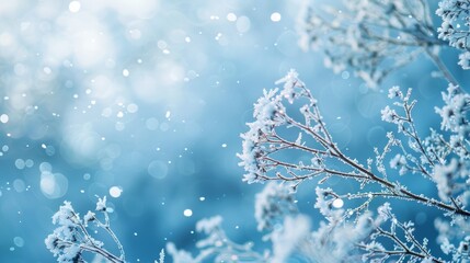 Iced blue winter background
