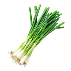 spring onion on transparent background