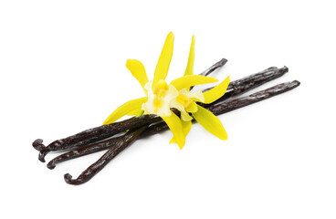 Vanilla pods and beautiful flowers isolated on white