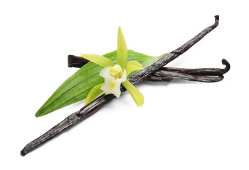 Vanilla pods, beautiful flower and green leaf isolated on white
