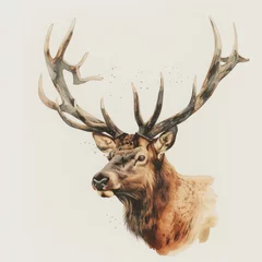 Deurstickers deer with antlers © KirKam