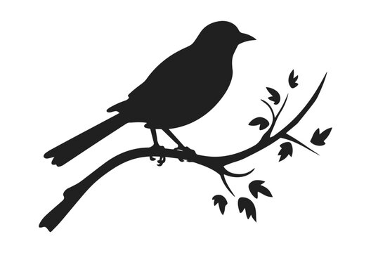 Bird on branch vector illustration. Small sparrow sitting on tree hand drawn black on white background. Spring nature decorative silhouette