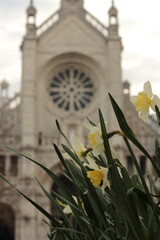 Church of Saint Catherine in spring