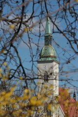 St. Martins Cathedral behind the blooming branches in spring