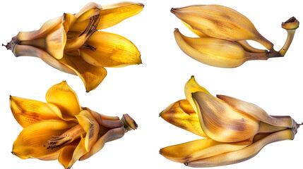 Banana Flower Illustration Isolated on Transparent Background Top View - obrazy, fototapety, plakaty