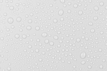 Water drops on white background texture. backdrop glass covered with drops of water. gray bubbles...