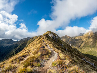 Kepler Track Alpine Landscape featuring Tussock-Covered Ridgelines in Fiordland National Park, New...