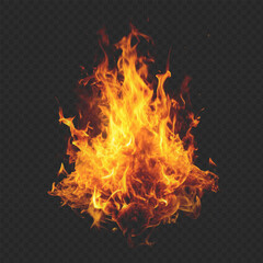 Fire abstract on transparent background. Vibrant vector graphic of fiery flame on transparent background. Ideal for dynamic illustrations!