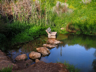 Wooden bench in a small pond