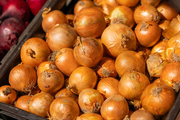 box full of onions on a sales stand