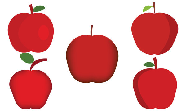 Apple Vector Illustration  Collection.