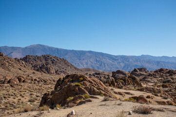 Desert Landscape