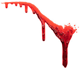 Dripping blood isolated on white background. Flowing bloody stains, splashes and drops. Trail and...