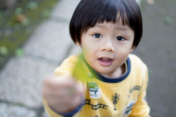 植物を手渡そうとしている子供 / Child trying to hand over a plant