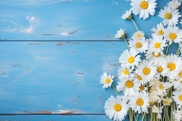 Title: White Daisies on Blue Painted Wood with Reflection.
