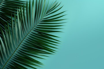Obraz premium Understated Minimalistic background palm leaf. Fashion summer texture sun leaf. Generate Ai