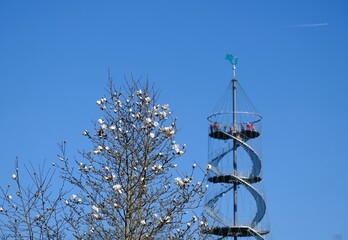 Magnolienblüte Killesberg Aussichtsturm