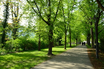 Park in der Stadt, Brandenburg