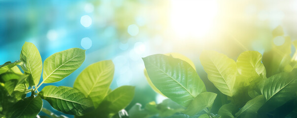 Sunlit fresh green leaves banner ideal for vibrant tropical vacation background - Powered by Adobe