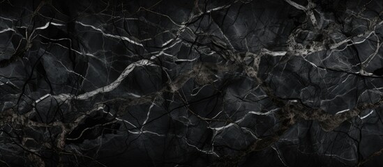 The close-up view captures the detailed textures of a black and white stone wall, showcasing the...