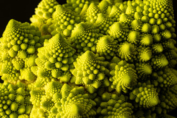 close-up photo of cabbage, branched inflorescence in middle of rosette of leaves, called...