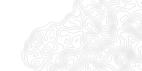 White wave paper curved reliefs abstract background. The topographic map contour in lines isolated. Abstract white topographic map background with lines. Background of the topography map.
